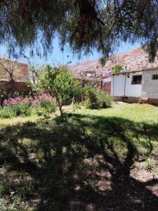 Ein Schatten eines Baumes im Hof in der Unterkunft Casa de Altura in Tilcara