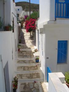 un callejón estrecho con edificios blancos y flores en Ioanna's, en Pánormos