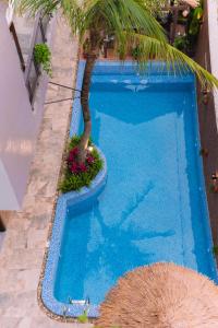 una piscina azul con una palmera en ella en Serena Tam Coc Hotel & Villa, en Ninh Binh
