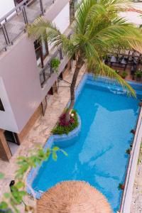 Una vista aérea de una piscina con una palmera. en Serena Tam Coc Hotel & Villa, en Ninh Binh