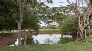 a body of water in a field with trees at Casa Finca La Catalina - Tu escape cerca de la ciudad in Montería