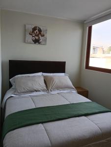ein Schlafzimmer mit einem Bett mit einem Teddybär an der Wand in der Unterkunft Minidepa con vista al Misti, near Plaza de Armas in Arequipa