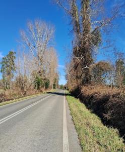 une route vide avec des arbres sur le côté de la route dans l'établissement La tiny de cuinco, à La Unión