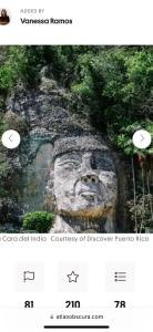 a page of a website with a picture of a face at Caleño Boricua Apartment in Quebradillas