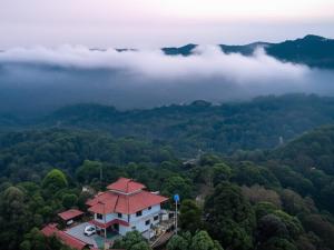 an aerial view of a house in the middle of a forest at Jishi Homestay in Madikeri