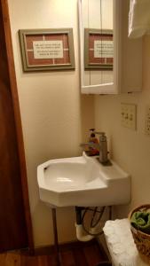 ein Badezimmer mit einem weißen Waschbecken und einem Spiegel in der Unterkunft Jones Cabin in Friday Harbor