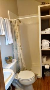 ein Bad mit einem WC, einer Dusche und einem Waschbecken in der Unterkunft Jones Cabin in Friday Harbor