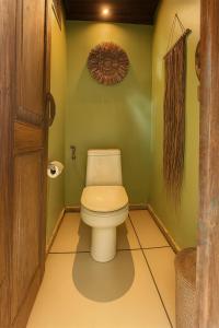 a bathroom with a toilet in a green wall at Barefoot in the Heart in Krambitan
