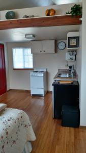 uma cozinha com um fogão e um lavatório num quarto em Jones Cabin em Friday Harbor