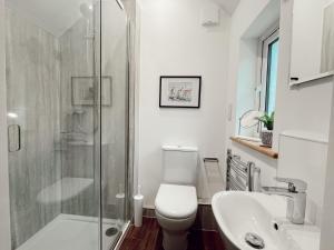 a bathroom with a shower and a toilet and a sink at 3 Bed in Bucks Mills OLDSB in Bucks Mills +28 photos