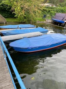 滨湖克拉科Doppelferienhaus am See & Wald的一排蓝色的小船停在水中