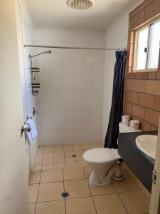 a bathroom with a toilet and a shower and a sink at The Lodge Village & Motel, Moranbah in Moranbah