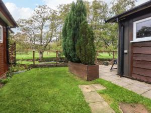LlangynogにあるRiver's Nookの家の隣の庭の木