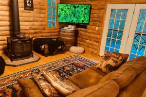 Posezení v ubytování Crabapple-Secluded cabin with pond creek access, hot tube, fire pit in Blue Ridge