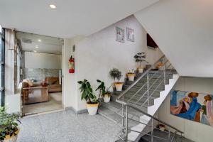 デヘラードゥーンにあるSuper Townhouse Oak ONGC Crossway Formerly Hotel Gold Stone Comfortの鉢植えのリビングルームの階段