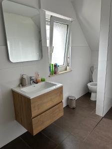 a bathroom with a sink and a mirror and a toilet at HAI2 - Modern Unterkunft mit Einzelzimmer in Hainburg
