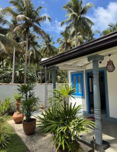 a house with palm trees in front of it at Susu Eco Villa in Talpe