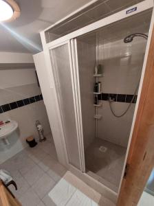 a bathroom with a shower with a sink and a toilet at Chalúpka za Magurou in Matiašovce +9 photos