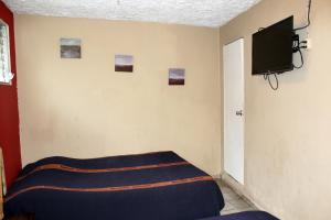 Habitación con cama y TV en la pared. en Ximenas Guest House en San Salvador