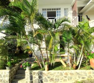 a group of palm trees in front of a house at Blue Appartment in La Gaulette