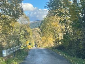 an empty road with trees on both sides of it at Apartament Ciśnianka in Cisna +6 photos