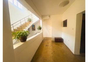 an empty hallway with potted plants in a building at Flamingo Guest House in Zanzibar City