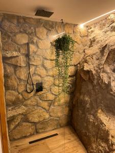 ein Badezimmer mit einer Steinmauer mit einer Pflanze in der Unterkunft La Posada de Botavara in Madrid