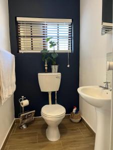 un baño con inodoro y lavabo en MacLeod House, en Bloemfontein