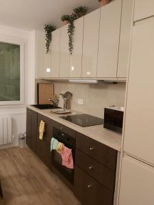 a kitchen with white cabinets and a sink at Chambre sérénité Montreuil in Montreuil