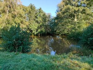 a river with trees and grass next to a field at Studio "Rêves de gamins" proche du pôle Européen et circuit des 24h, Champagné in Champagné +10 photos