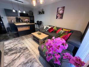 Kuchyň nebo kuchyňský kout v ubytování Мия 6 Deluxe