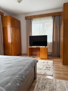TV a/nebo společenská místnost v ubytování Casa Crisan
