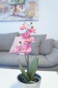 eine rosa Blume in einem Topf auf einem Tisch in der Unterkunft Apartment Vienna in Wien