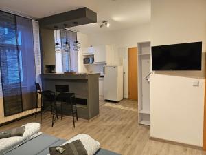 a room with a kitchen and a living room at Ganze Ferienwohnung - Apartment to rent in Hohenstein-Ernstthal +6 photos