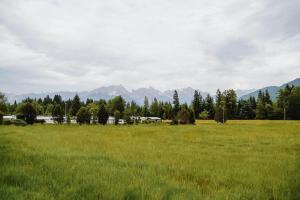 um campo com relva verde e montanhas ao fundo em Das Haus am Waldsee em Maishofen