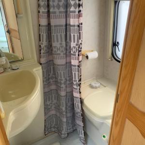 a bathroom with a toilet and a shower curtain at Beside the Seaside in Whangamata