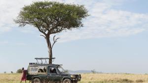 a green truck parked in a field with a tree at Semadep Village Guest House in Sekenani +29 photos