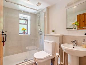 een badkamer met een douche, een toilet en een wastafel bij 1 Bed in Bude WBARN in Sutcombe +41 foto's