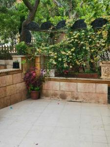 Κήπος έξω από το Flowar