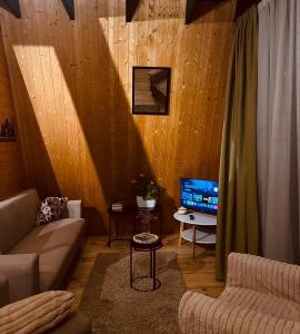 a living room with a couch and a television at Mtis Racha in Oni
