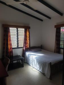 a bedroom with a bed and two windows at Jetpoint Bed & Breakfast in Nadi