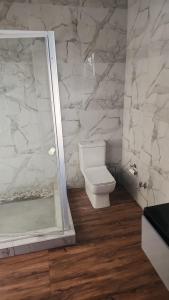 une salle de bain avec toilettes et douche en verre dans l'établissement Casa lux boutique guest house, à Newcastle