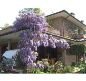 a wreath of purple flowers on a tree in front of a house at B&B Les Fleurettes in Lomazzo