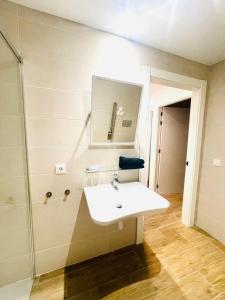 a bathroom with a white sink and a shower at Apartamentos San Nicolas Jaca in Jaca