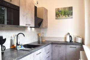 a kitchen with a sink and a microwave at GUWO Gästewohnung Goethestraße 82d in Guben