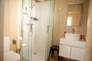 a bathroom with a shower and a sink and a toilet at La Cabane de Camille in Pithon +23 photos