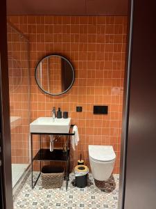 Gallery image of Studio terracotta meublé de tourisme 2 pers in Altkirch