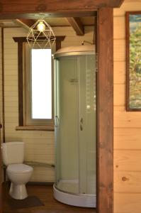 a bathroom with a toilet and a glass shower at Йоцвіт in Krivorovnya