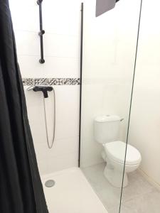 La salle de bains est pourvue de toilettes et d'une cabine de douche en verre. dans l'établissement Studio cosy en pierre au cœur du vieux Langon, à Langon 1 autre photo