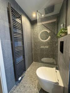 a bathroom with a toilet and a shower at Rhein-Neckar-Apartments Viernheim in Viernheim